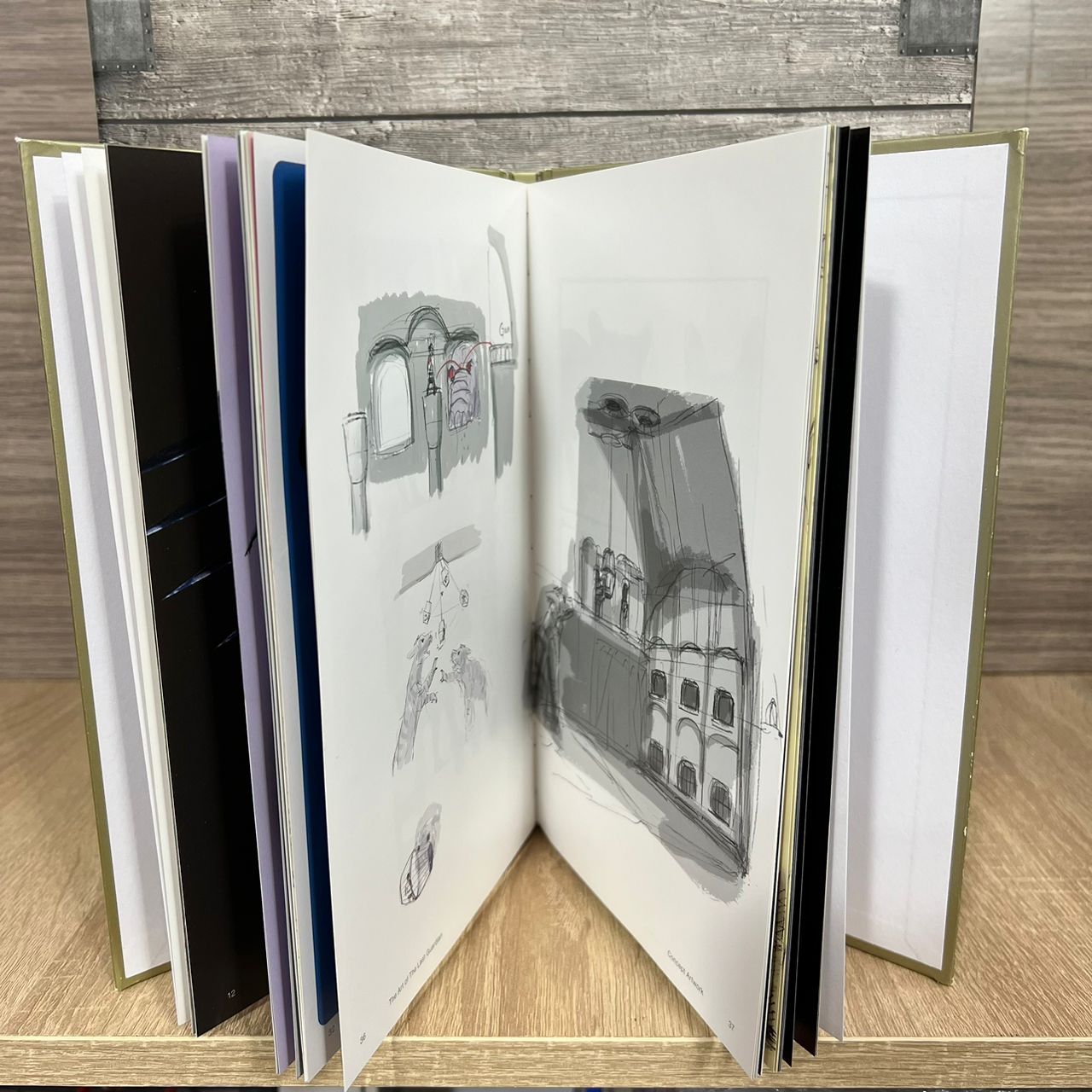 Collector The Last Guardian PS4