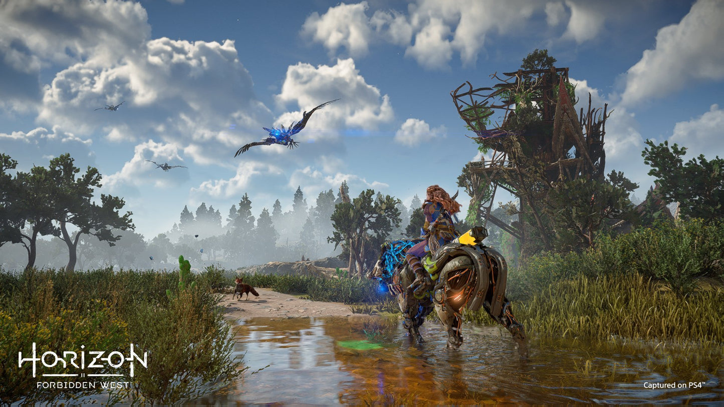 Horizon : Forbidden West PS4