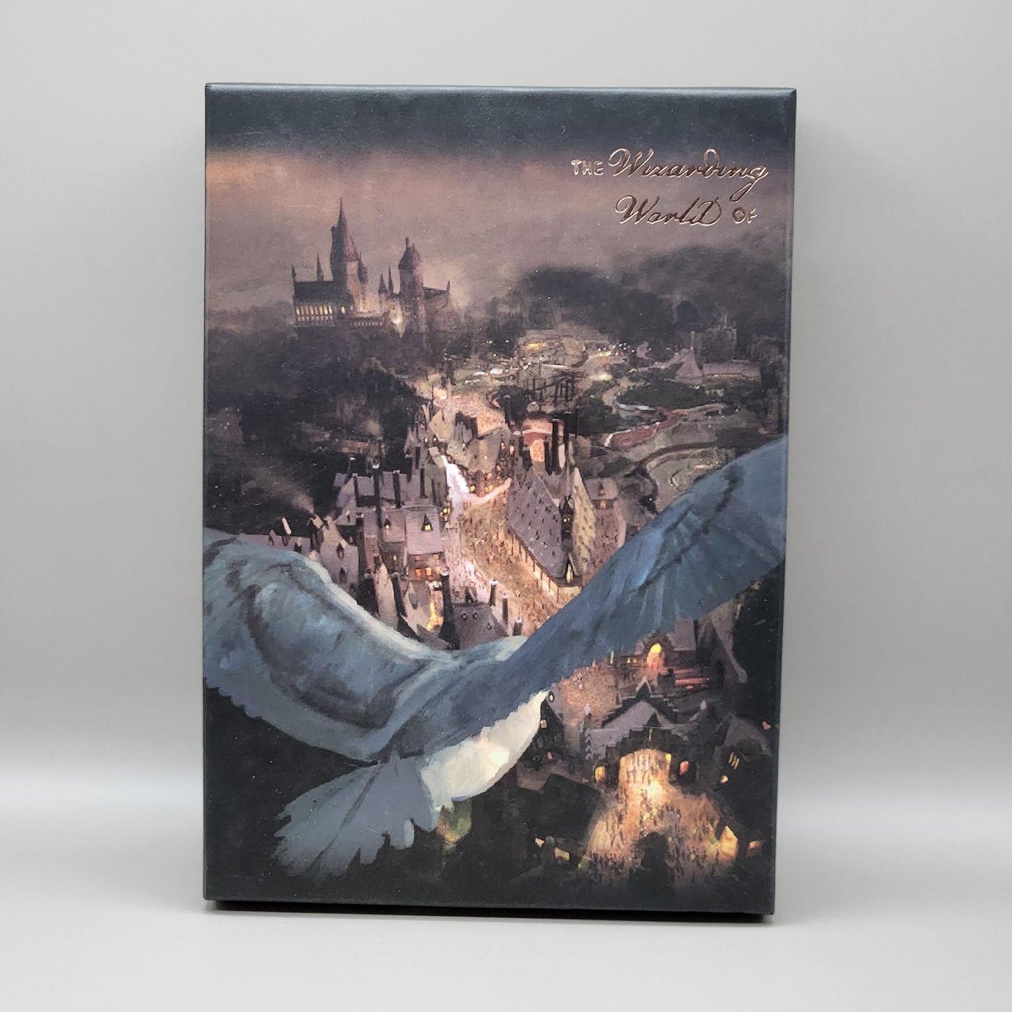 Calligraphie Stifte Set - Harry Potter