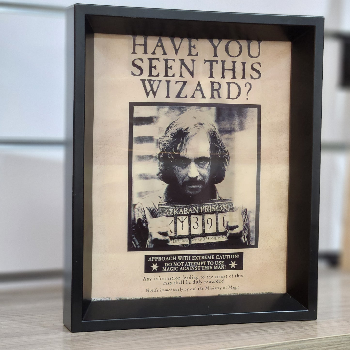 Cadre 3D Lenticulaire Harry Potter 24x29 cm