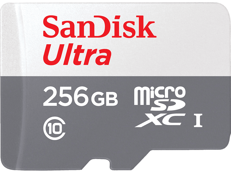 Carte Mémoire SanDisk Class 4 MicroSD SDHC (256 GB)