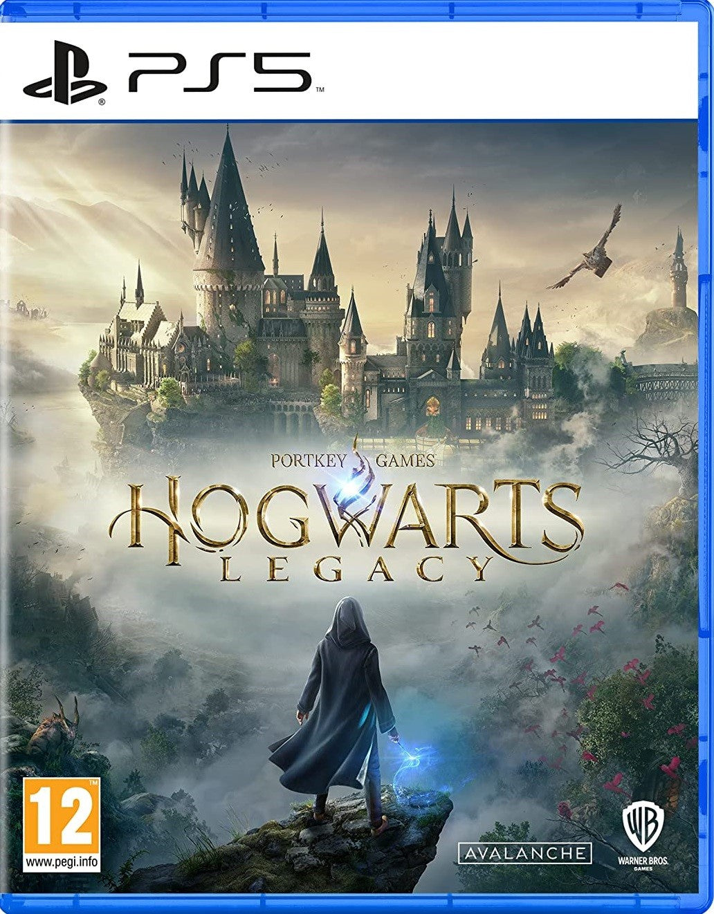 Hogwarts Legacy Ps5