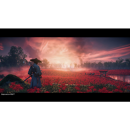 Ghost Of Tsushima Director's Cut PS4 Occasion ♻️